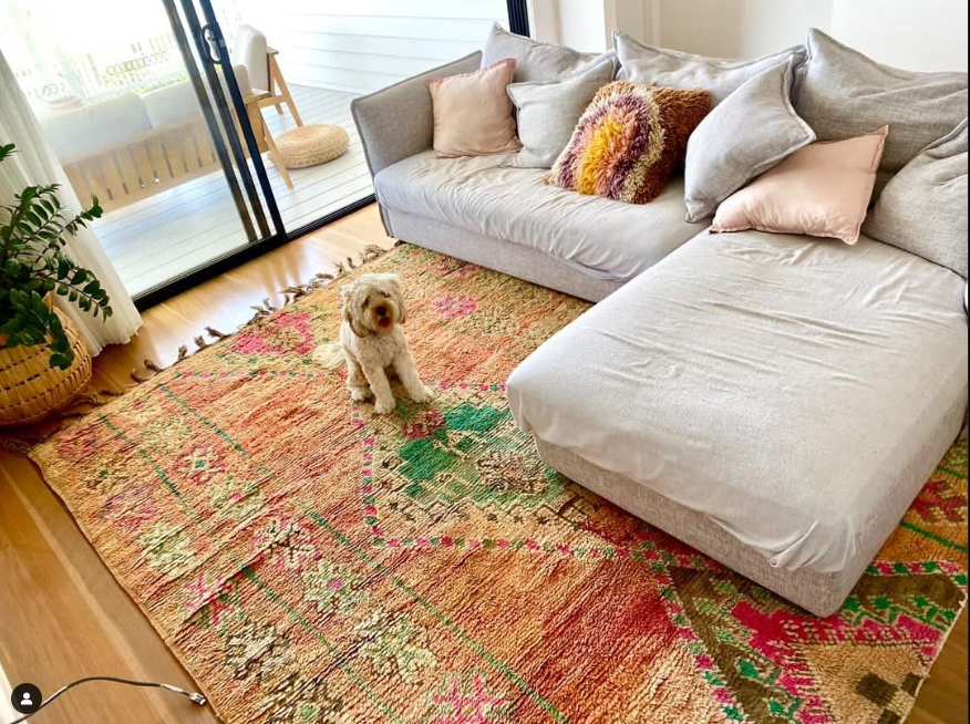 picture of vintage rug in white home with cream lounge and a fluffy dog sitting on the rug